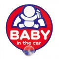 Baby In Car